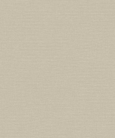 Dutch Linen & Textures- Plain Taupe LT10017